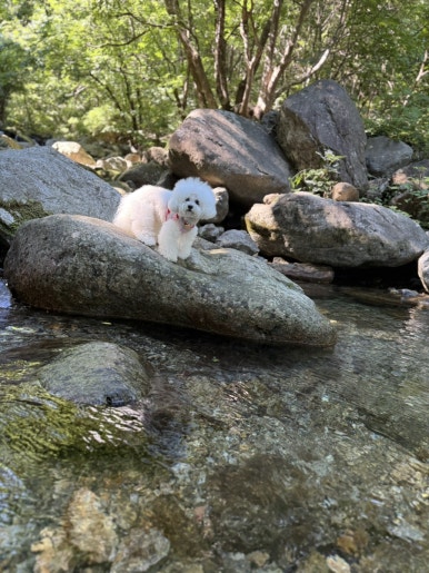 희방파크식당 이미지