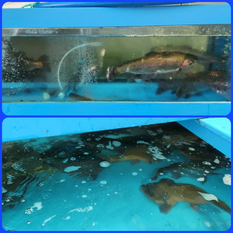 돌섬횟집 이미지