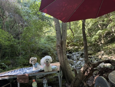 희방파크식당 이미지