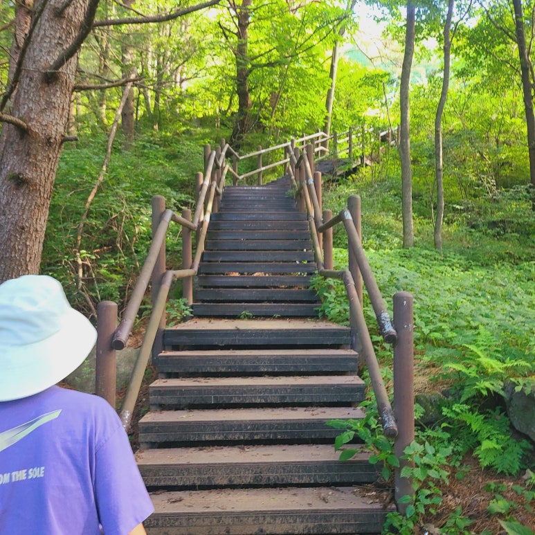소백산국립공원 삼가탐방지원센터 이미지