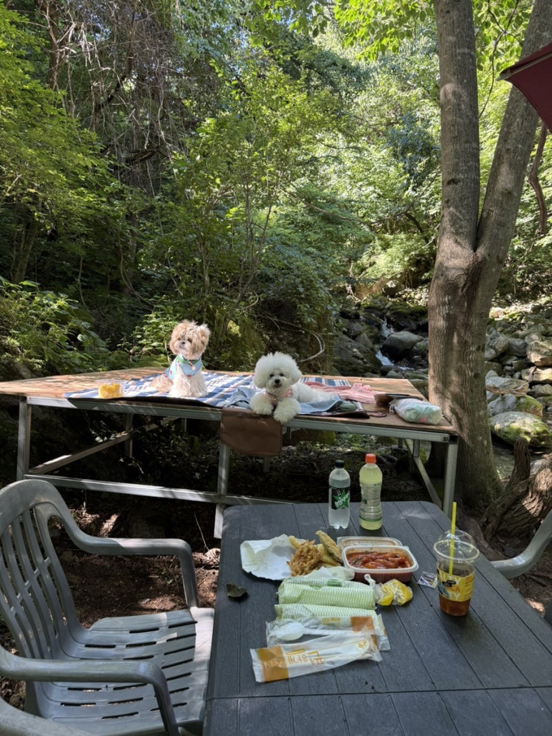 희방파크식당 이미지