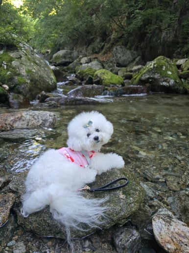 희방파크식당 이미지