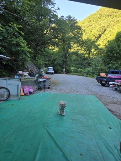 희방파크식당 이미지