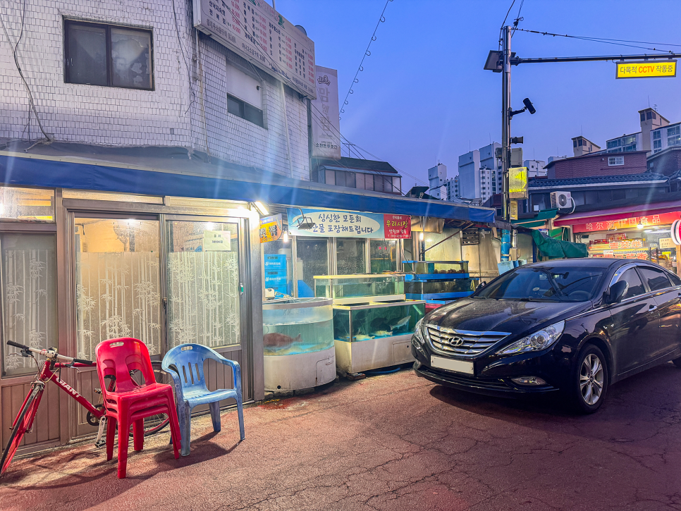 섬 사진 8