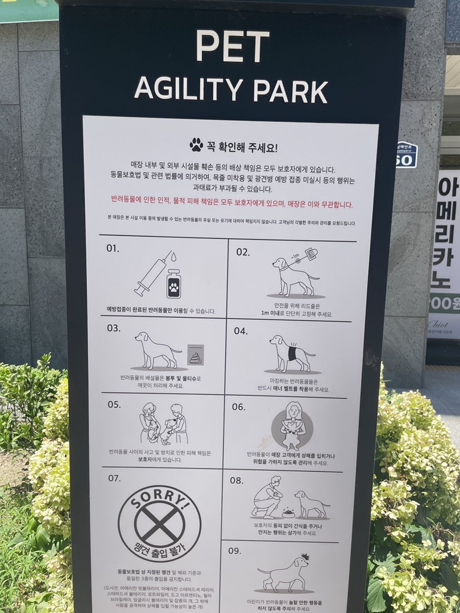 여수 애견동반 카페 시오트, 반려견과 함께하는 힐링 여행 — 사진 6