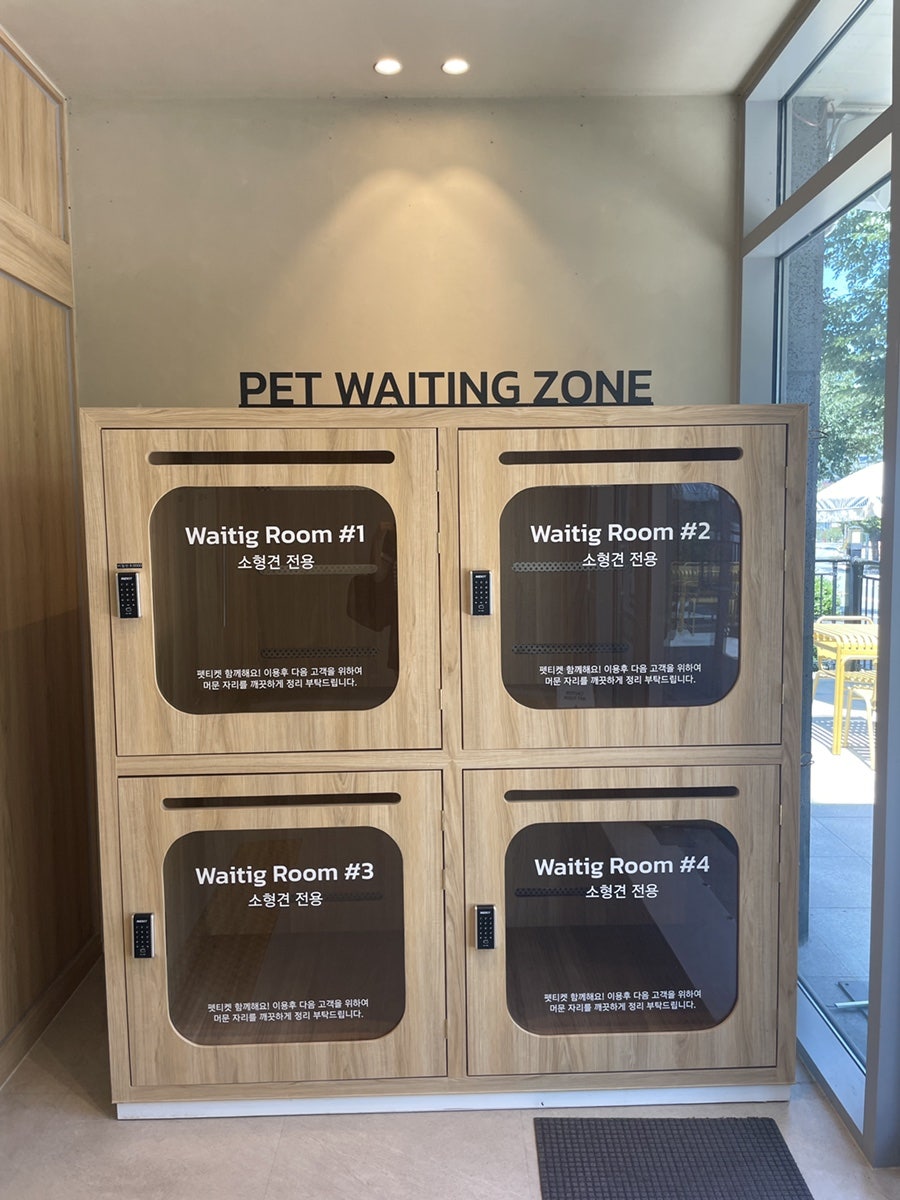여수 애견동반 카페 시오트, 반려견과 함께하는 힐링 여행 — 사진 8