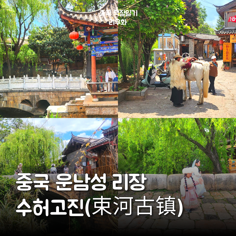 중국 운남성 리장 수허고진(束河古镇) 조용하고 낭만적인 리장고성 인근 관광지 : 네이버 블로그