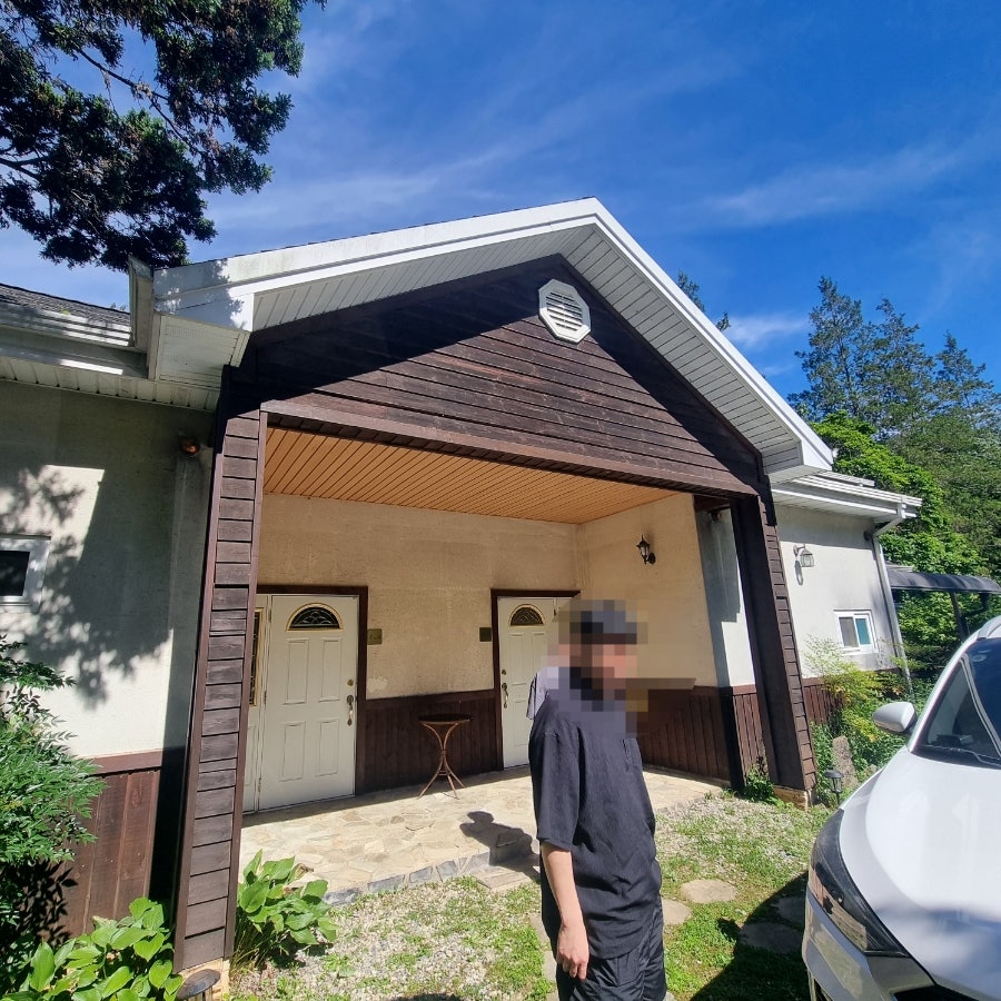 마로니에1970 이미지