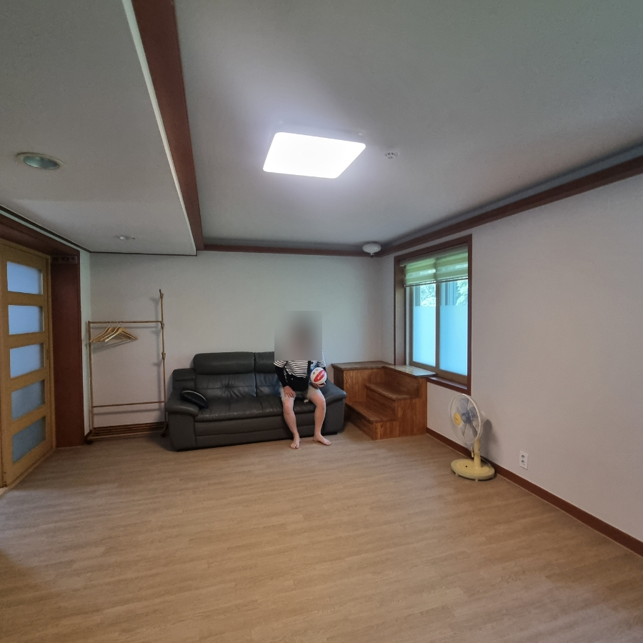 마로니에1970 이미지