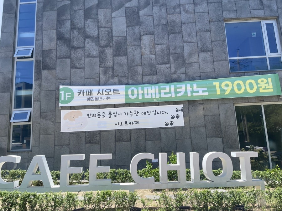 여수 애견동반 카페 시오트, 반려견과 함께하는 힐링 여행 — 사진 3