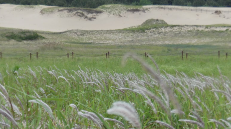 에이미캠핑장 이미지