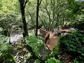 파라디소펜션 이미지