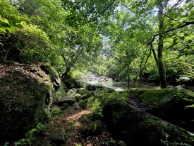 파라디소펜션 이미지