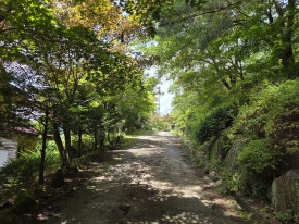 파라디소펜션 이미지