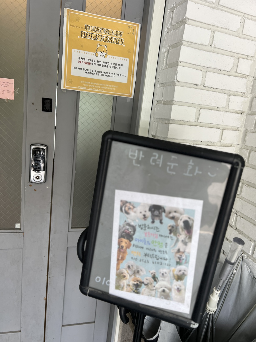 강남 애견유치원 반려문화, 사회성 훈련 및 호텔 후기 — 사진 6