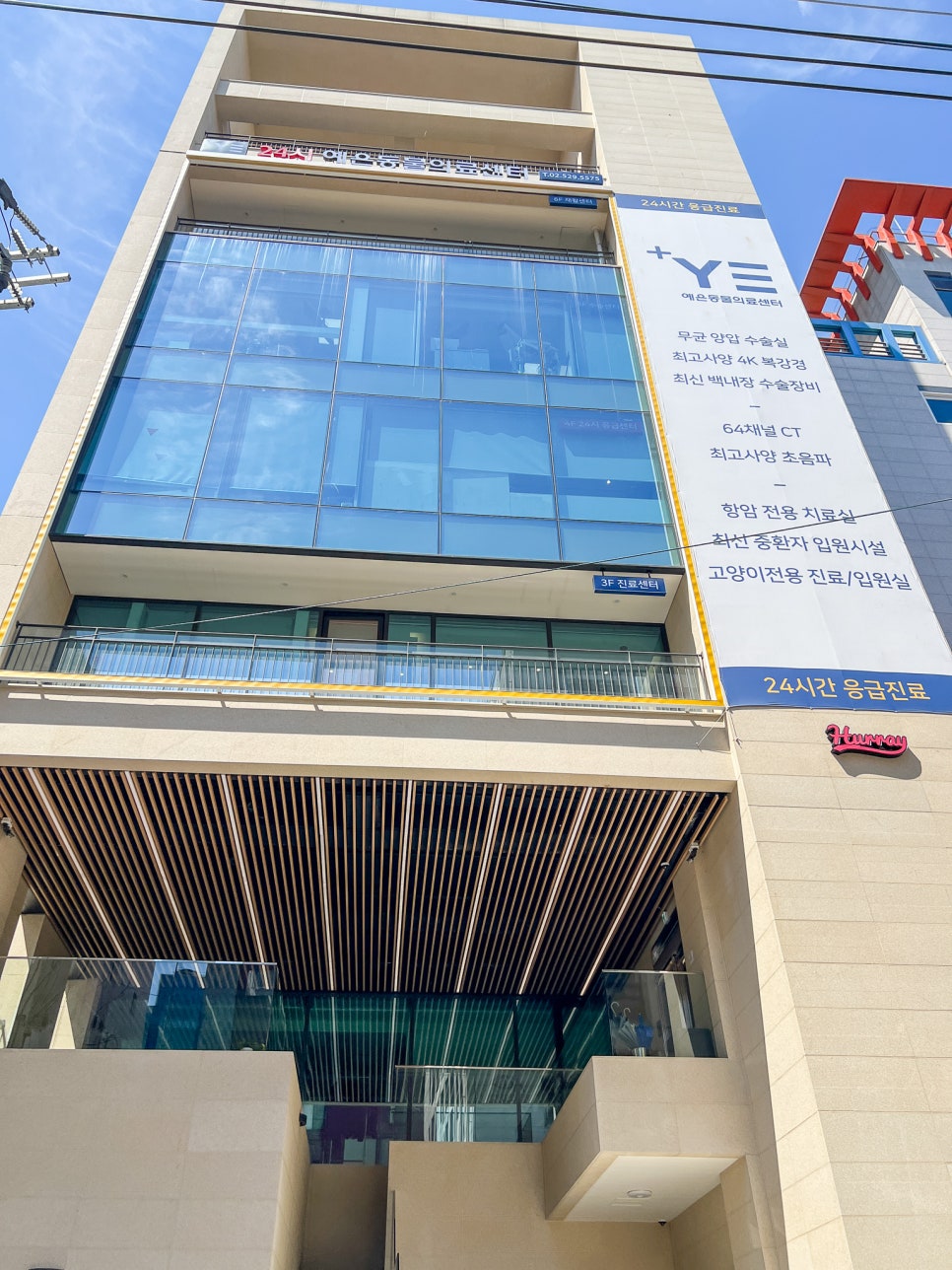 강아지 심장병 검진, 강남 예은동물병원 전문 진료 후기 — 사진 2