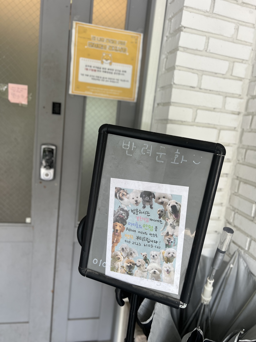 강남 애견유치원 반려문화, 사회성 훈련 및 호텔 후기 — 사진 7