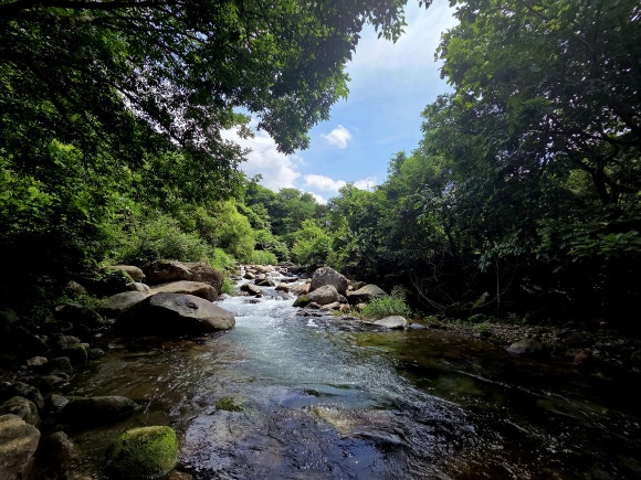 파라디소펜션 이미지