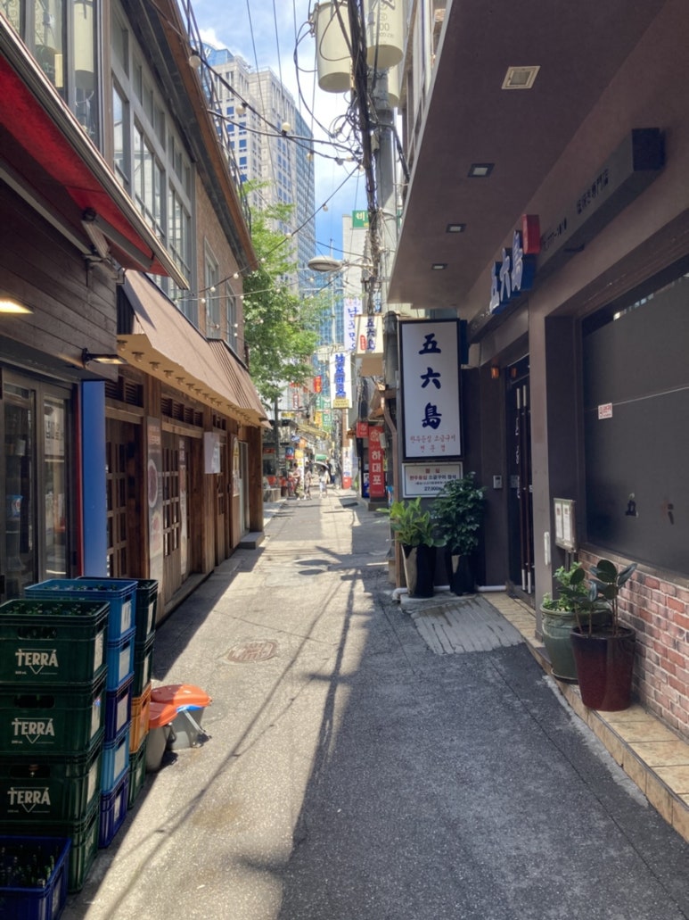오륙도 사진 8