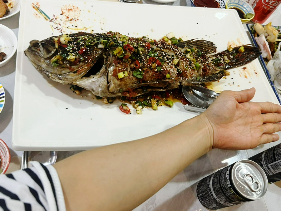 진달래시래기 사진 2