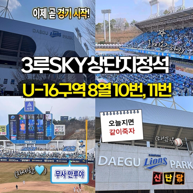 🦁삼성라이온즈파크 좌석 후기🦁3루 SKY상단지정석 U-16구역에서 본 삼성과 SSG 시범경기! ⚾️라팍시야 : 네이버 블로그