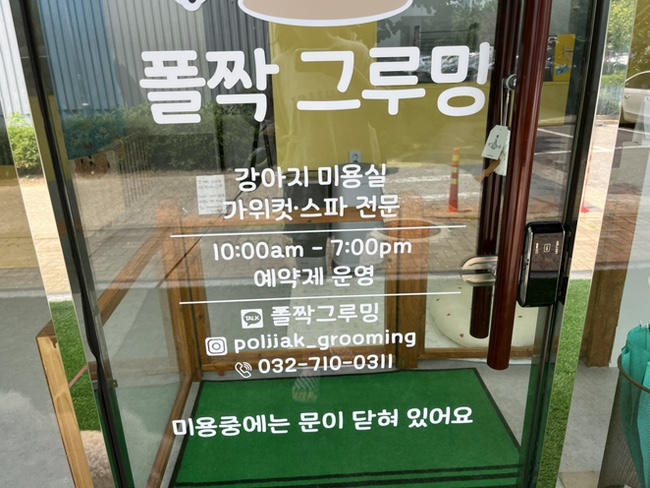 부평 강아지 미용, 폴짝그루밍 곰돌이컷 후기 — 사진 4