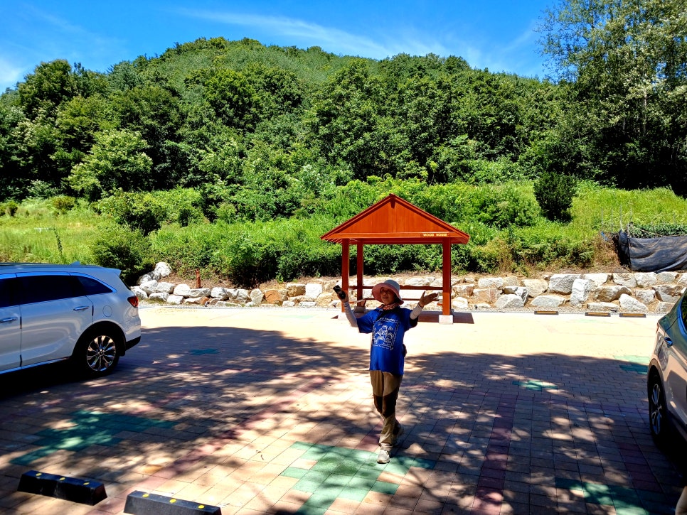 Bugui Metasequoia Road
