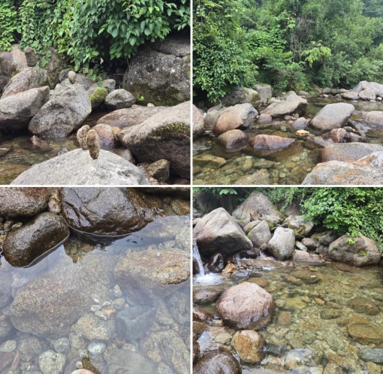 푸른농원펜션 이미지