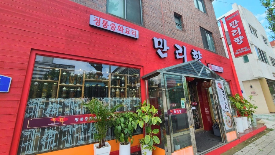만리향 사진