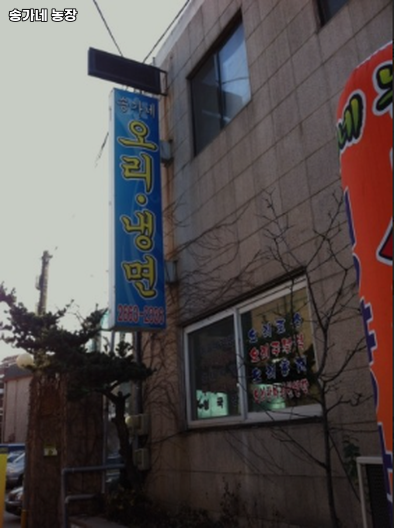 송가네농장 사진 4