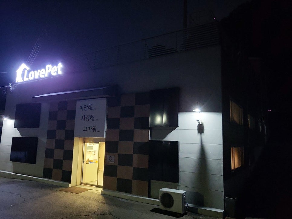 고양이 장례 준비법: 절차, 비용, 업체 선택 가이드 — 사진 2