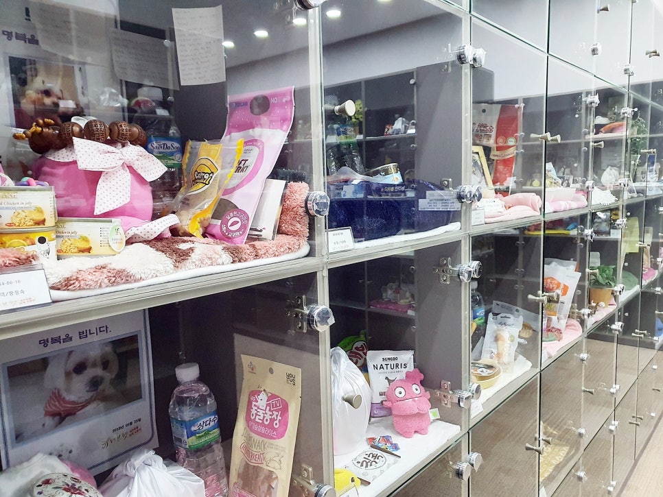 고양이 장례 준비법: 절차, 비용, 업체 선택 가이드 — 사진 9
