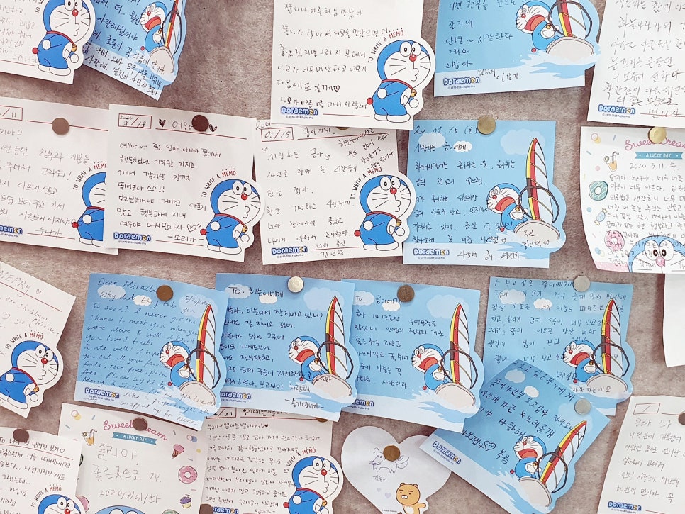 고양이 장례 준비법: 절차, 비용, 업체 선택 가이드 — 사진 11