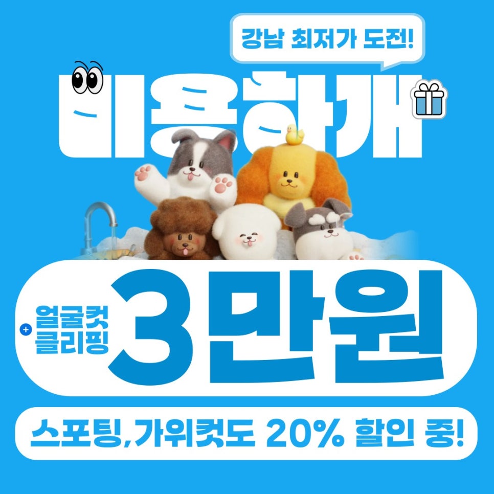 강남 시츄 얼굴 미용, 3만원으로 스트레스 없이! — 사진 2