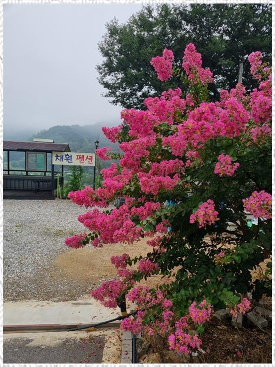 단양채훤펜션 이미지