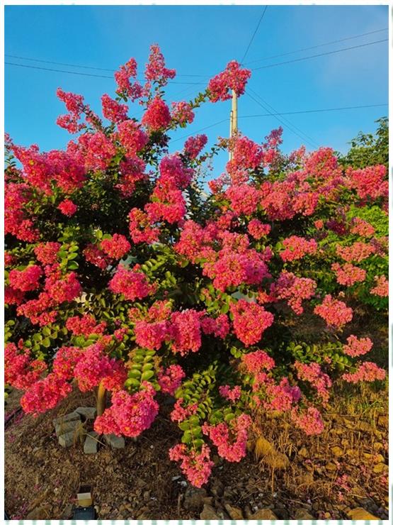 단양채훤펜션 이미지