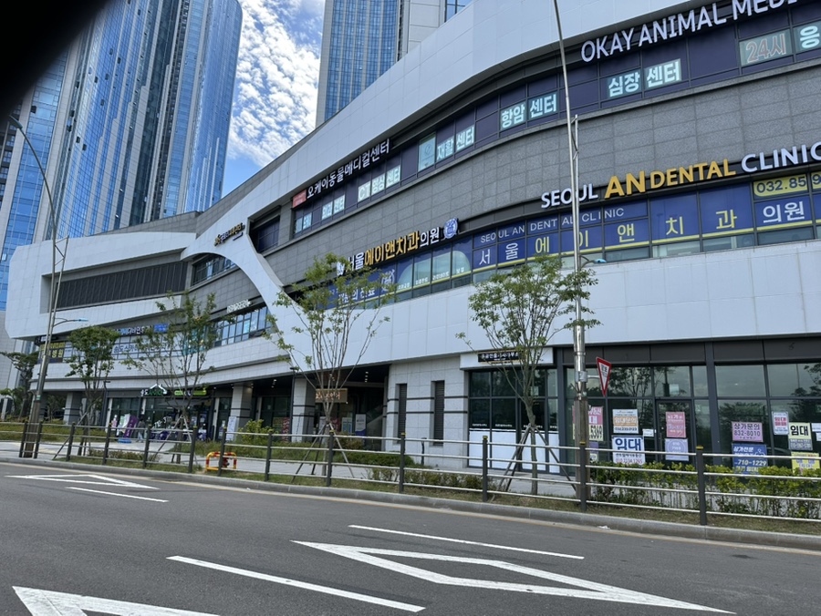 송도 오케이동물메디컬센터 강아지 간수치 검사 비용 및 결과 — 사진 2