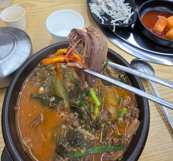 정드림흑염소 수원매탄점 사진 5