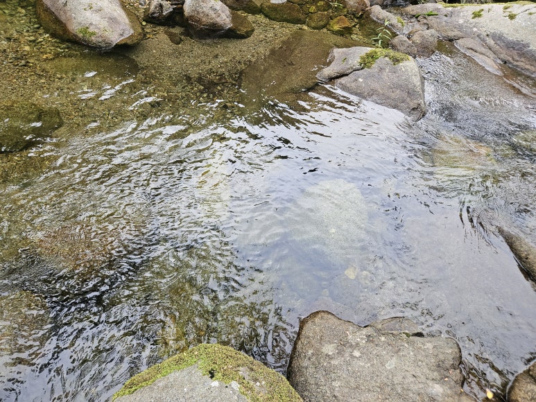 뚜벅이하우스펜션 이미지