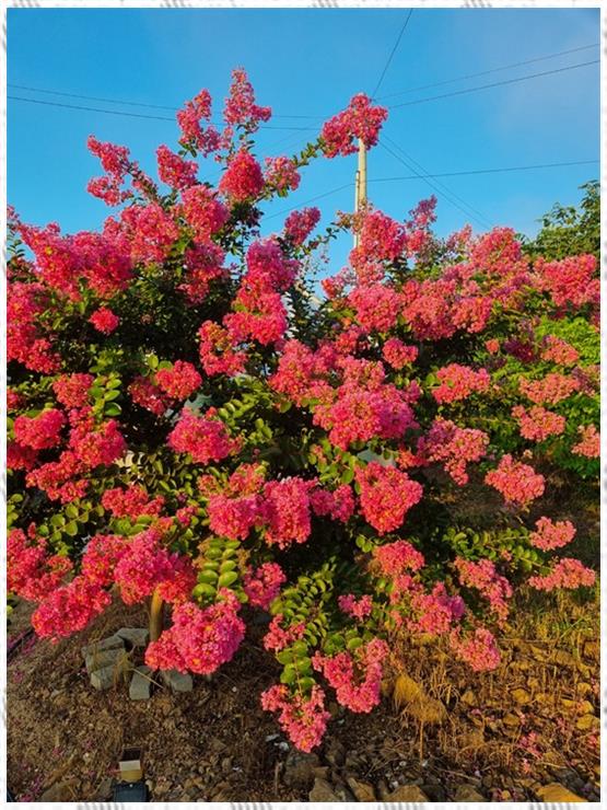 단양채훤펜션 이미지