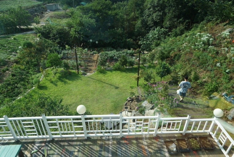 단지골몽상가 이미지