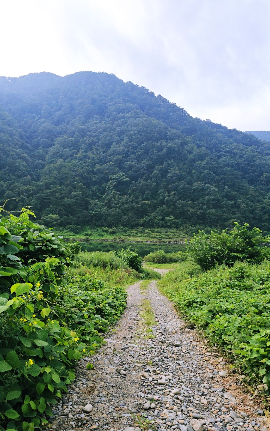 예그리나펜션 이미지