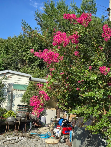 예그리나펜션 이미지