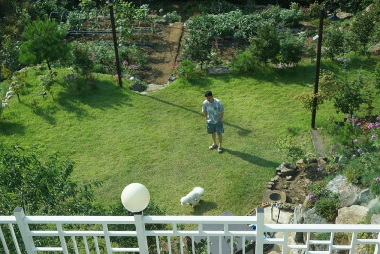 단지골몽상가 이미지