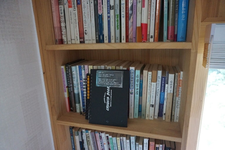 단지골몽상가 이미지