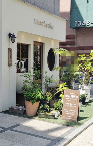 쉐리케이크 사진 3