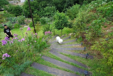 단지골몽상가 이미지