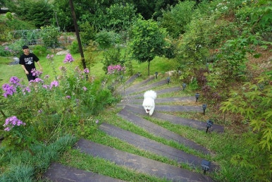 단지골몽상가 이미지