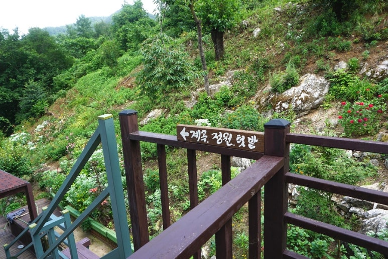 단지골몽상가 이미지