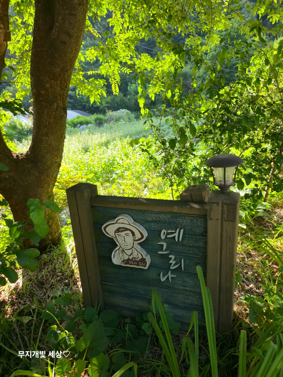 예그리나펜션 이미지